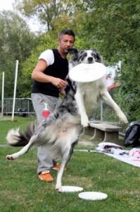 Salvio Annunziato au frisbee dog