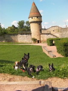 Colo à Cluny